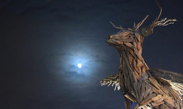 Un Papou chez les Flottins d’Évian 6