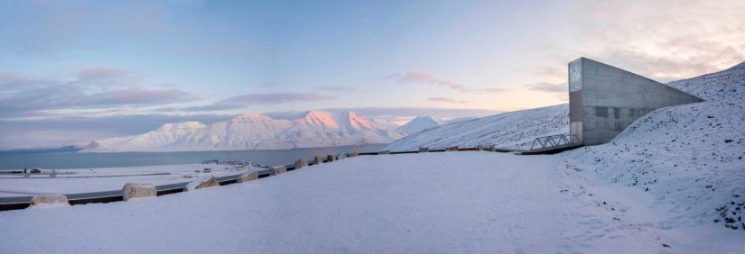 Des "cryo" banques génétiques pour sauver la biodiversité 2