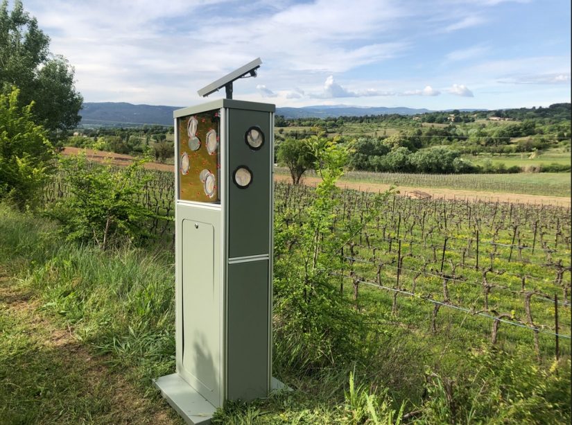 piege-mouche-olive-verger-provence