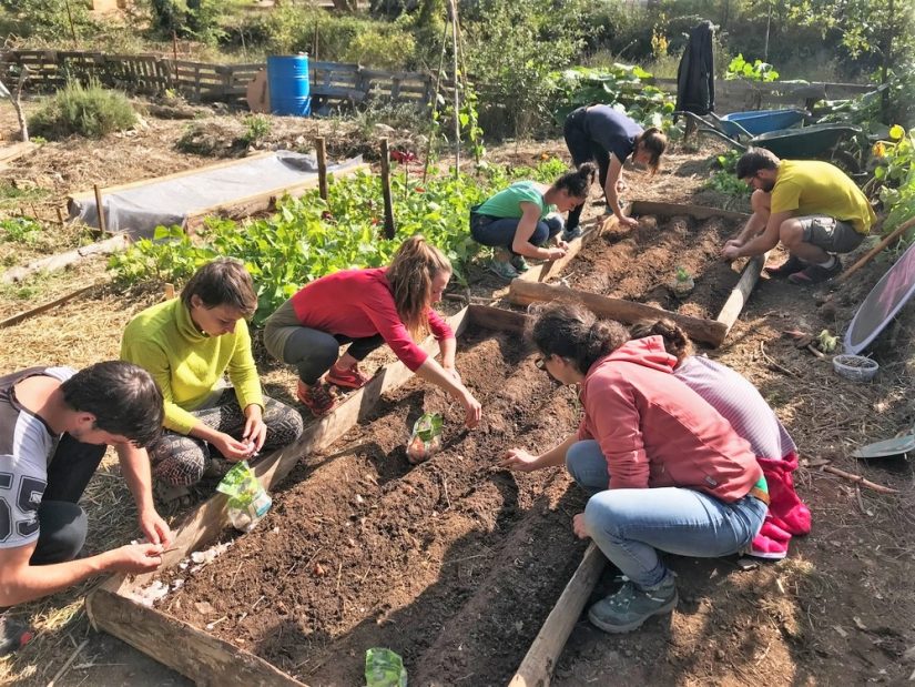 sejour-pedagogique-enfant-etudiant-provence