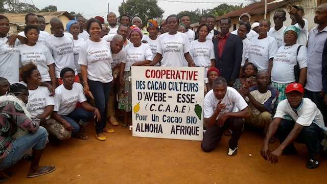 Févier d’Or cultive le cacao et la différence 3