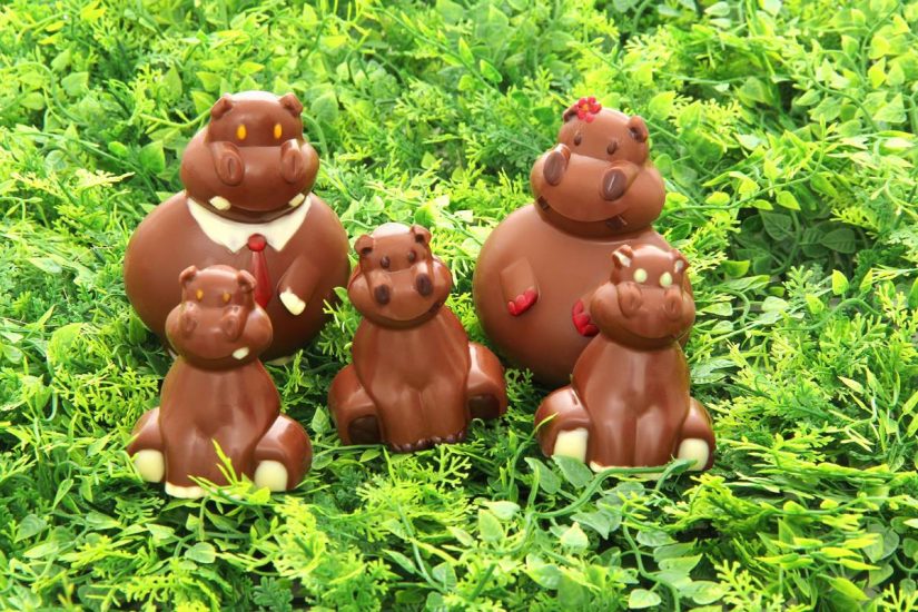 Févier d’Or cultive le cacao et la différence 4