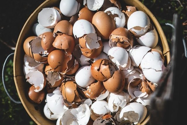 Transition des territoires : comment mobiliser les élus ? 1