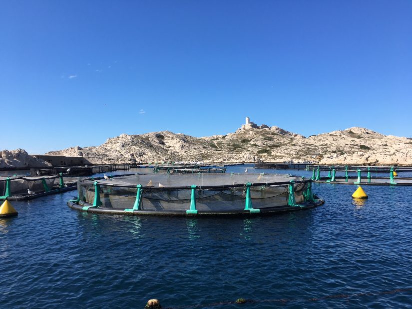 Classes bleues : à l’école des moussaillons 19