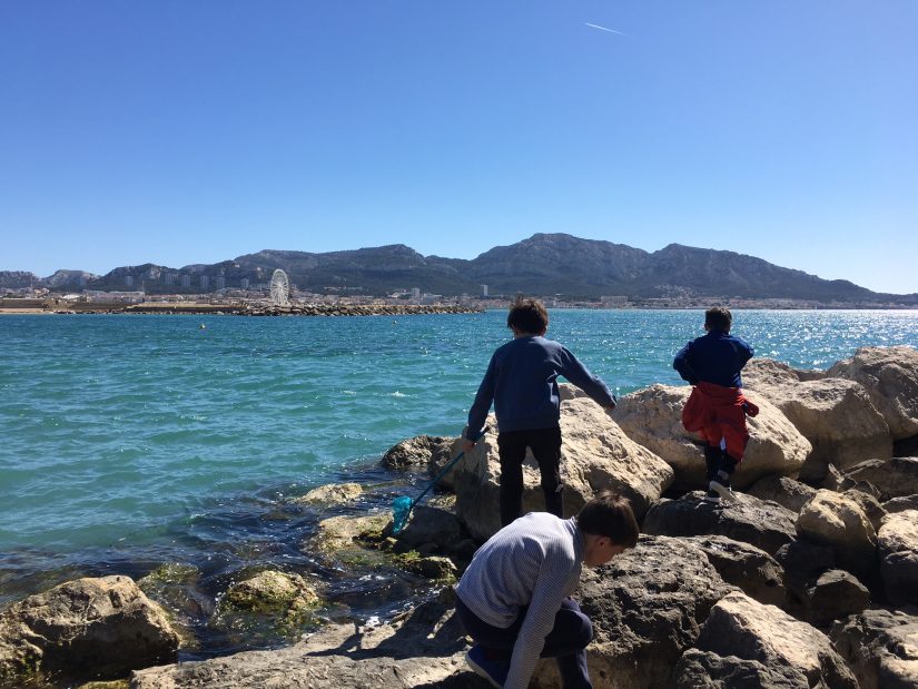 Classes bleues : à l’école des moussaillons 5