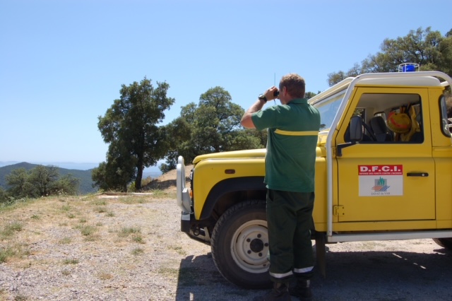Feux de forêt, comment lutter ? 2