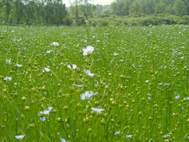 Les bouteilles aussi se font plus écoresponsables 2