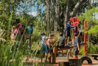 À La Possession, l'écologie est l'affaire de tous #2 1