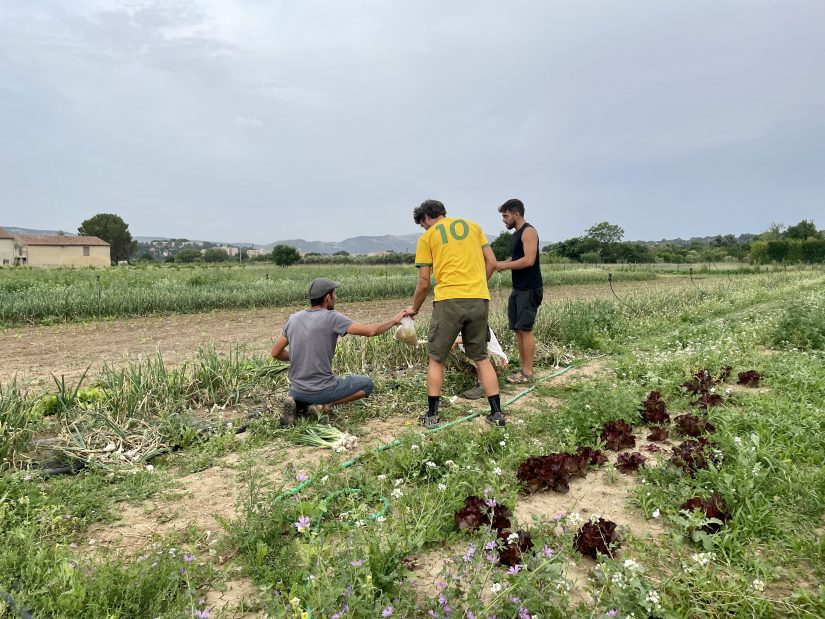 Ferme des Roselières