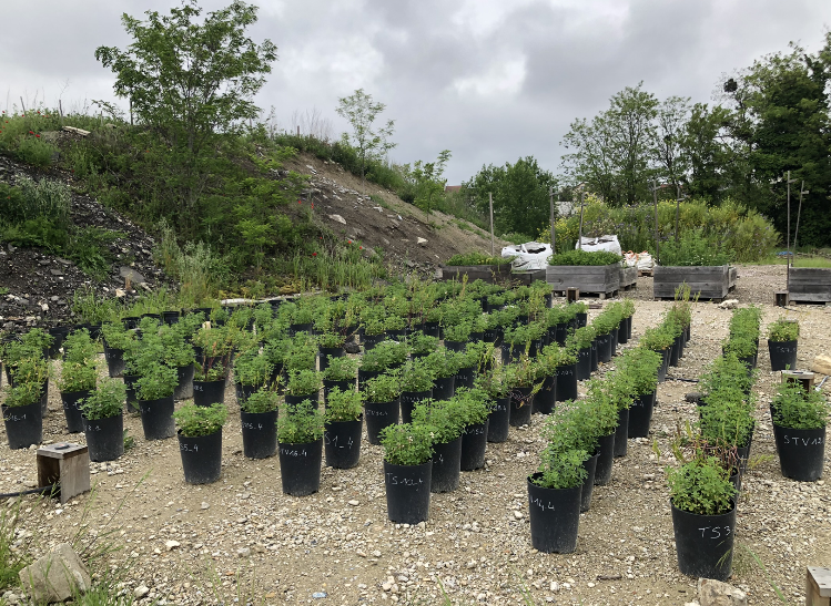 faiseurs-terre-valoriser-terre-chantier