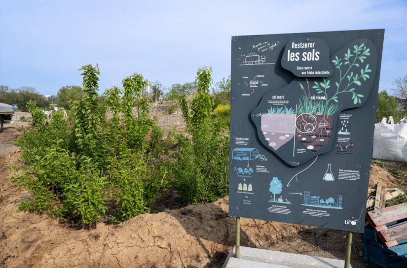 restauration-sol-inerte-fertile