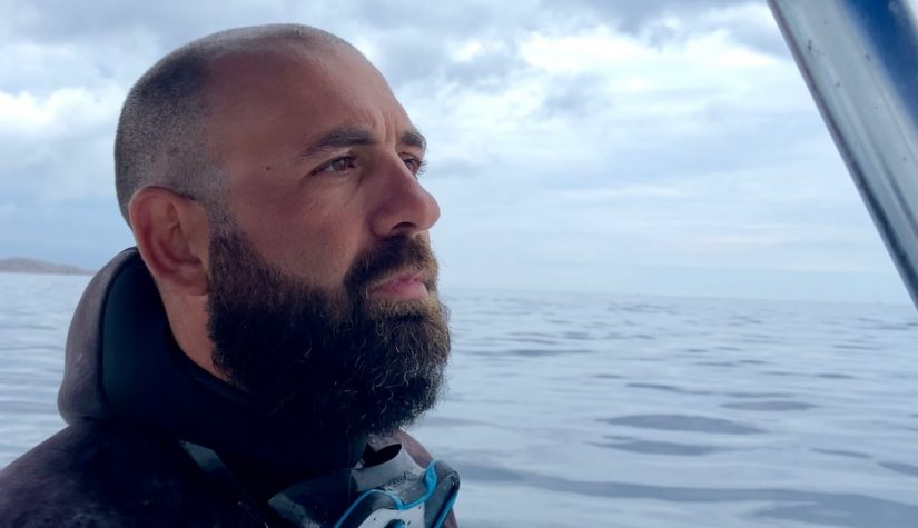 Posidonie : la replanter… mais surtout la préserver 6