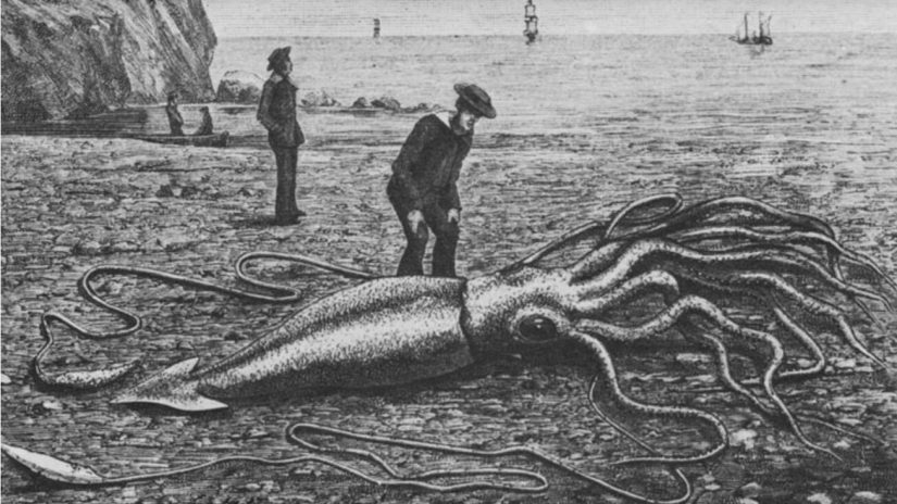 Avec Polar Pod, Jean-Louis Etienne veut sonder l’océan Austral 1