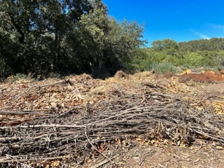Chez les Vignerons Engagés, des militantes comme Sainte-Roseline et Les Demoiselles 6