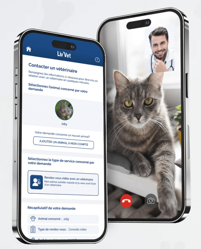 Une application de conseils véto à portée de patte 4