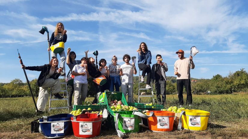 Cueillettes Aux arbres citoyens ! anti-gaspi et solidaires 5