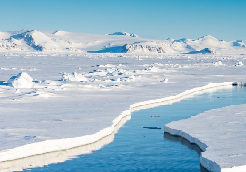 « Engager son imaginaire au-delà des frontières du connu » 5
