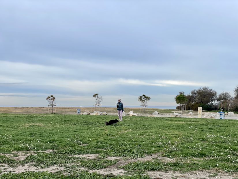 Avec GreenCityzen, les plantes commandent leur consommation d’eau 5