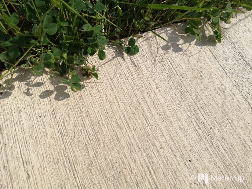 De l’argile crue pour construire des immeubles 4