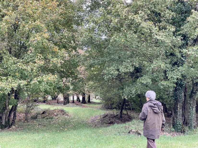 La ronce, une amie qui nous veut du bien 5