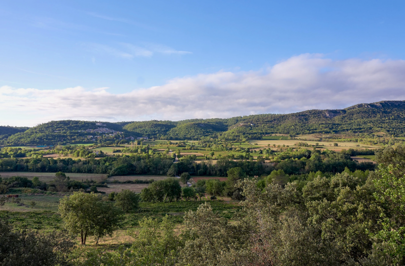Les cuvées solidaires d'un vigneron du Verdon 4