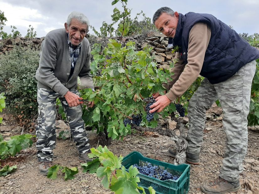 Trémoine, une petite coopérative combattive 4