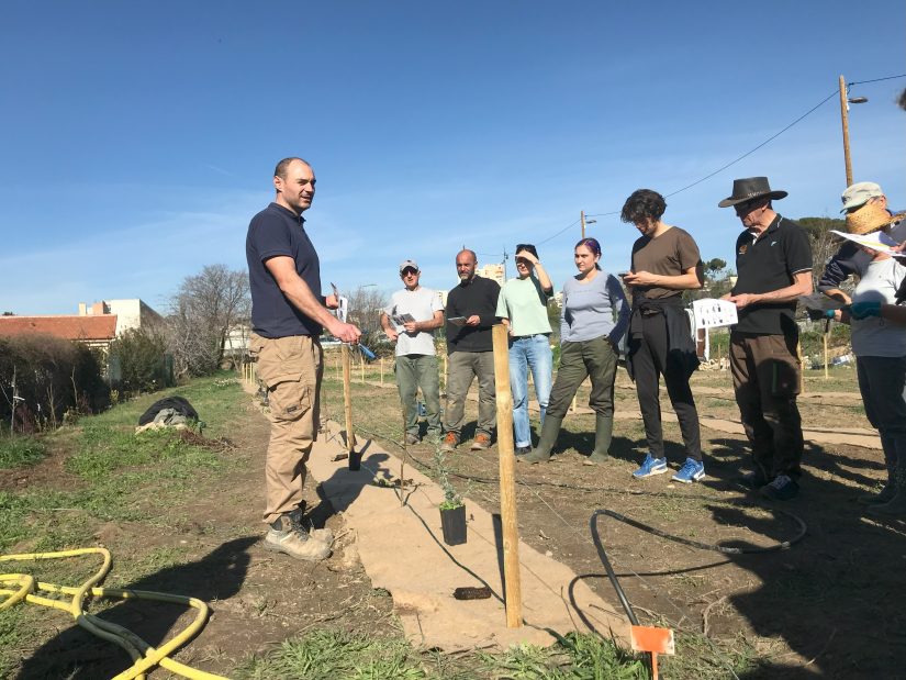 Un premier verger urbain participatif et scientifique 1