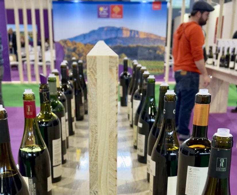 « Les vins bios répondent à la tendance du boire moins mais mieux » 3