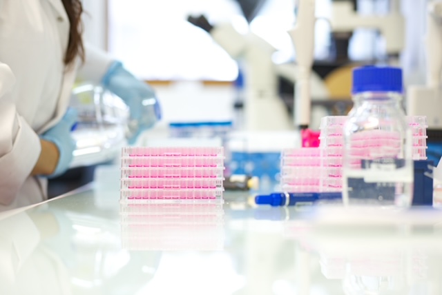 Comment le futur mondial de la cancérologie se construit à Marseille 3