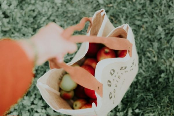  Contre la précarité alimentaire et paysanne, une ‘’Sécurité sociale de l’alimentation’' 1