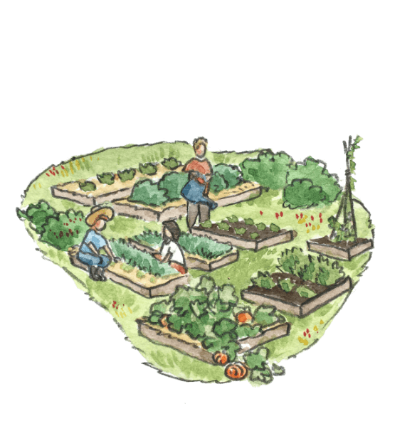 Récolte et revalorisation de nos biodéchets : des formations existent ! 5