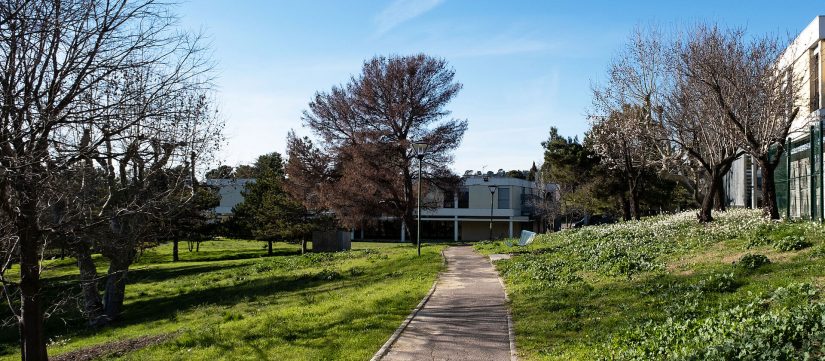 "Tchiquit’ tchiquita" à l’hôpital psychiatrique 3