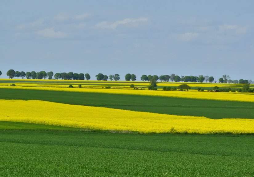« L’agroécologie, un système de production relocalisé, durable et sain pour tous » 1