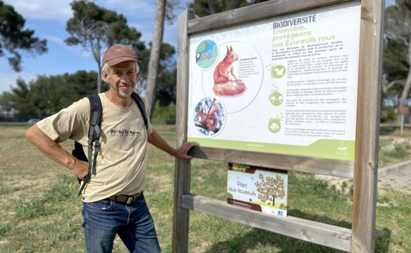 laurent-cattaneo-sos-ecureuil-provence