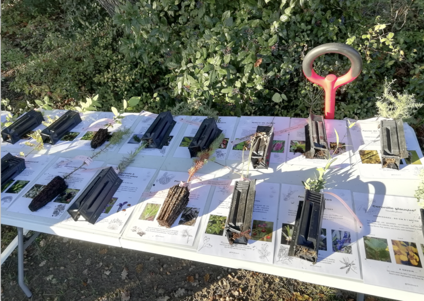 Re-naturer les villes... pour les sauver ?