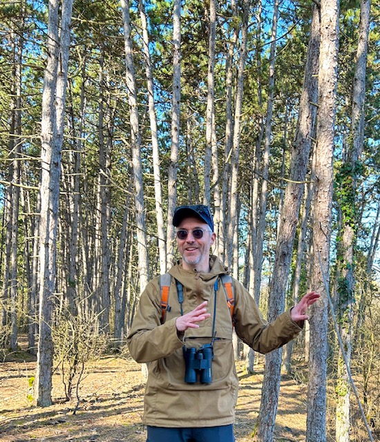 Des arbres dans les vignes de Ruinart 2