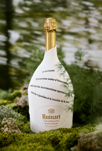 Des arbres dans les vignes de Ruinart 3