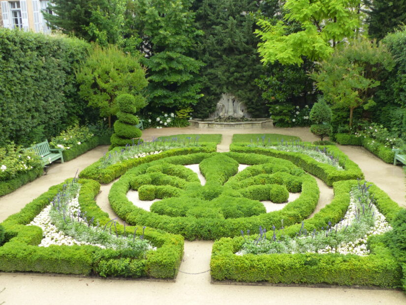 Un « Parcours dansé » pour les enfants en situation de handicap 6