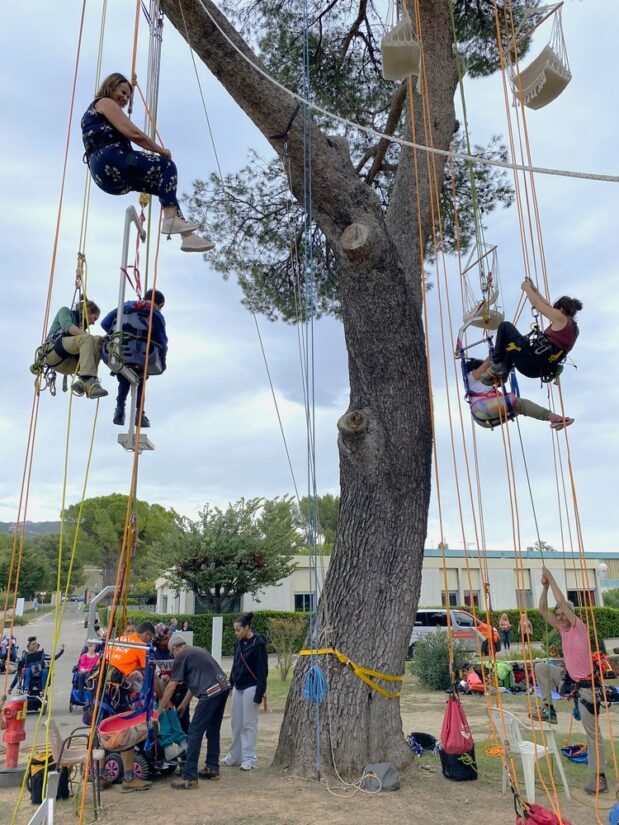 Grimper aux arbres n’est pas qu’un jeu d’enfants 2