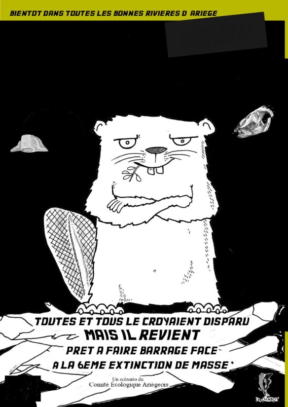 Et si le castor, allié de l’environnement, revenait en Ariège ? 1