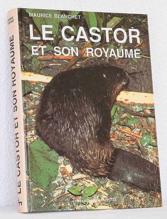 Et si le castor, allié de l’environnement, revenait en Ariège ? 4