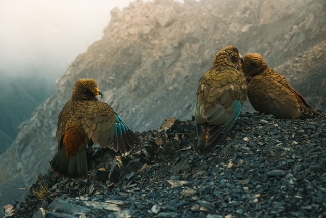 Festival photo : le noir et blanc donne des couleurs aux villes 5