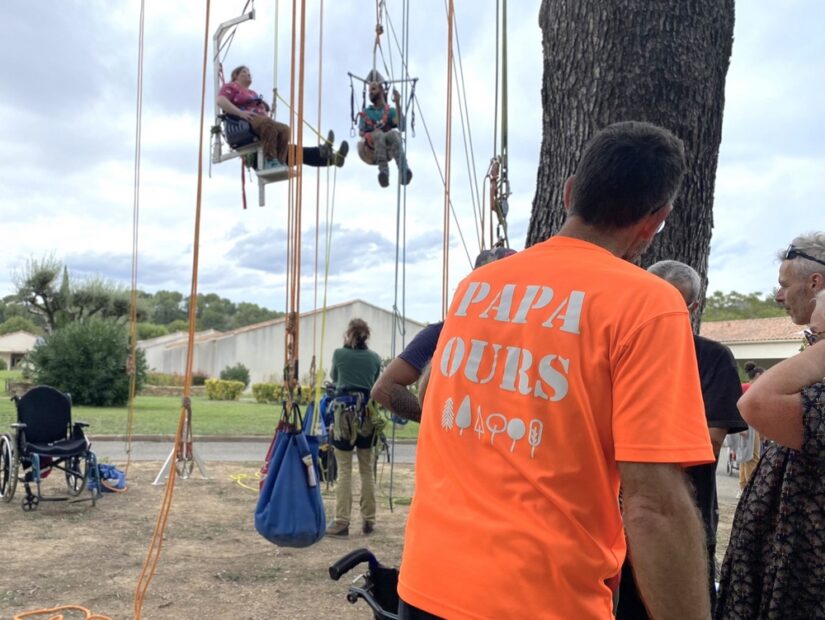 Grimper aux arbres n’est pas qu’un jeu d’enfants 3