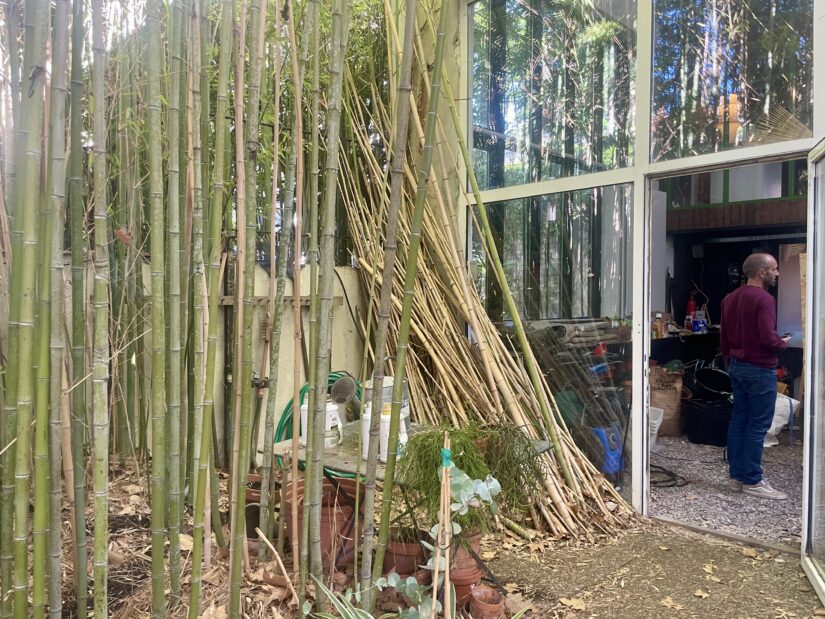 Bois, paille et chanvre pour rénover l’habitat 5