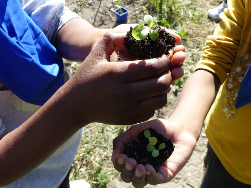 Faire classe dehors pour que les enfants « fleurissent » 2