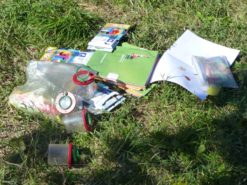 Faire classe dehors pour que les enfants « fleurissent » 3