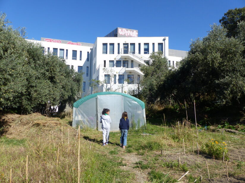 Faire classe dehors pour que les enfants « fleurissent » 5