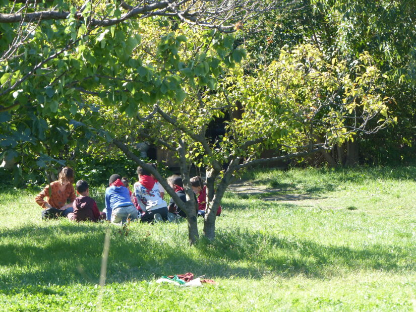 Faire classe dehors pour que les enfants « fleurissent » 6