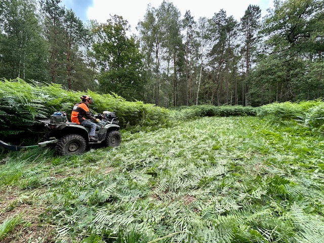 Le Domaine de la Voisine, modèle d'une sylviculture douce 1