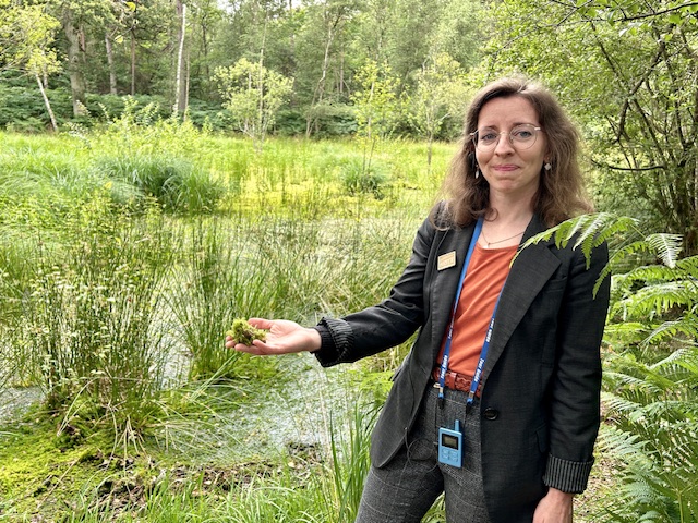 Le Domaine de la Voisine, modèle d'une sylviculture douce 2
